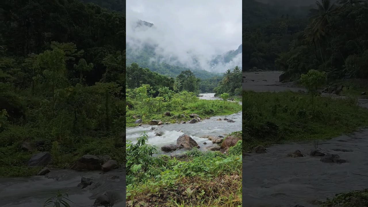 Village Monsoon Vibes #idukki #kerala #rain #india #monsoon