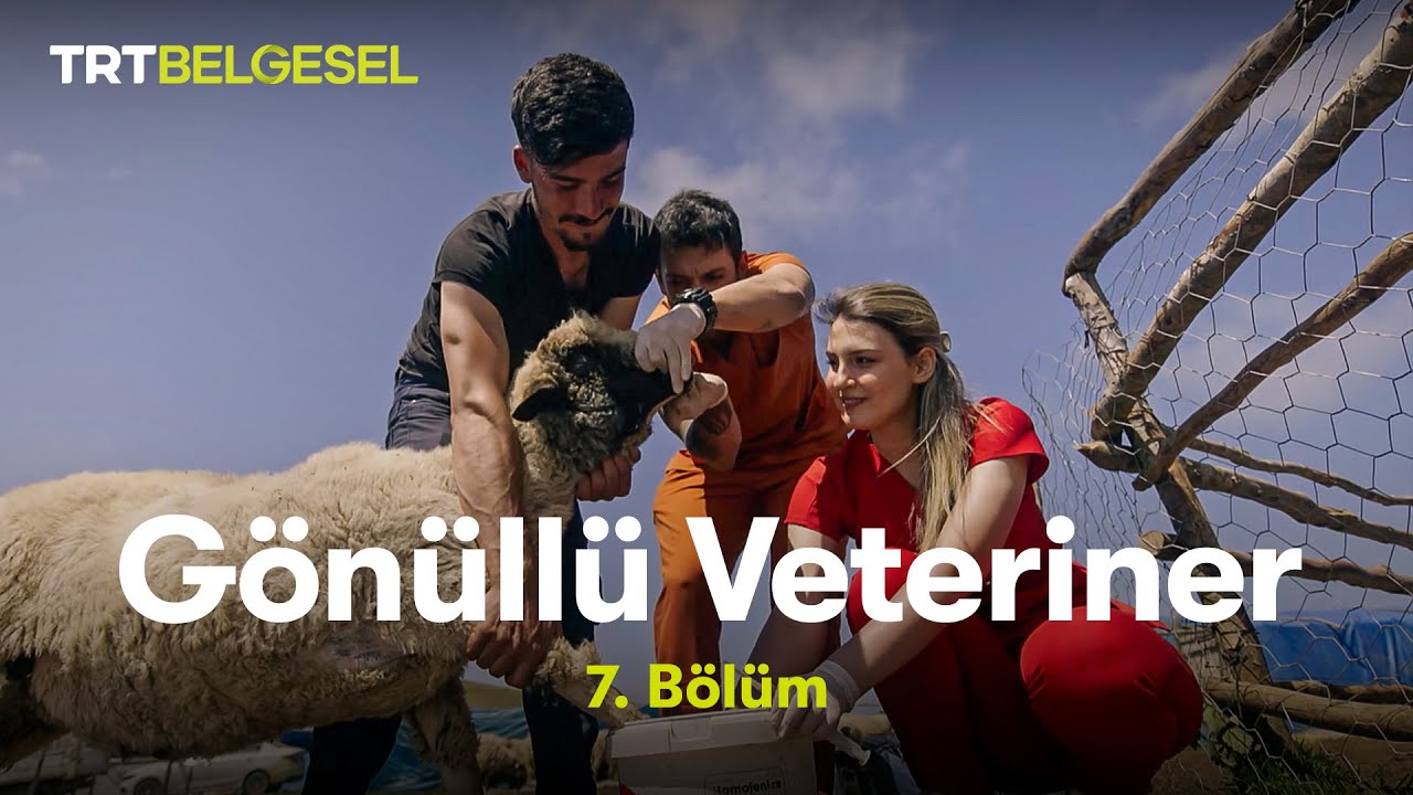 Gönüllü Veteriner | 7. Bölüm | TRT Belgesel