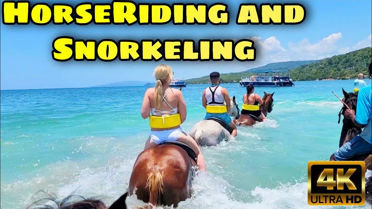 Power Snorkeling and Horseback Riding in the Caribbean Sea in Jamaica