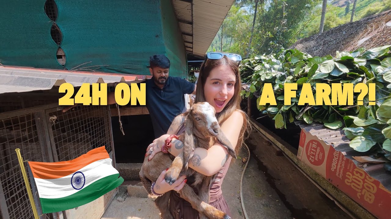 24 часа на ферме в Индии 🇮🇳 (Не то, чего я ожидал)