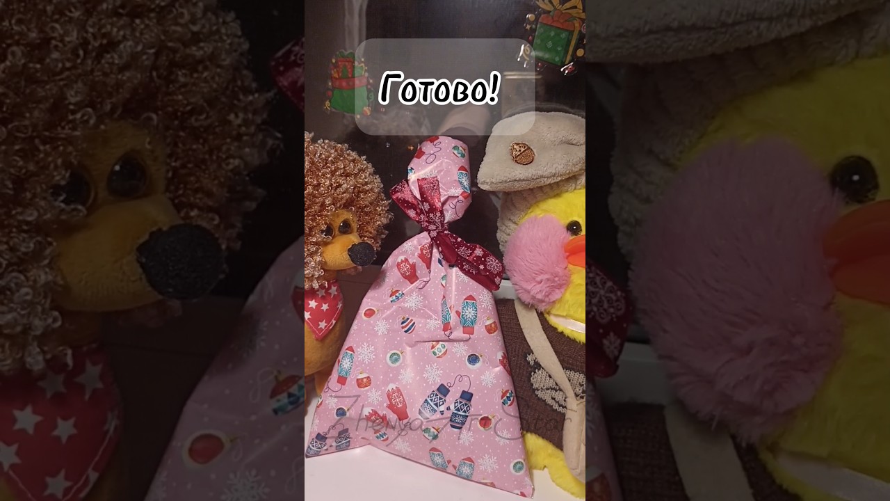 Упаковываем подарок для кошки Глаши 