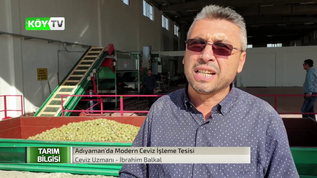 Adıyamanda Modern Ceviz İşleme Tesisi