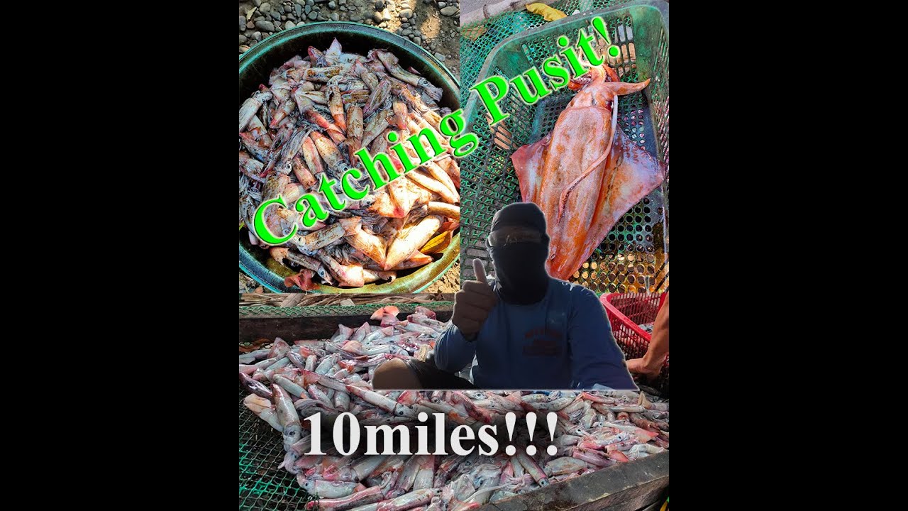 Life of a Fisherman || Part 1: Catching Squid with GoPro!