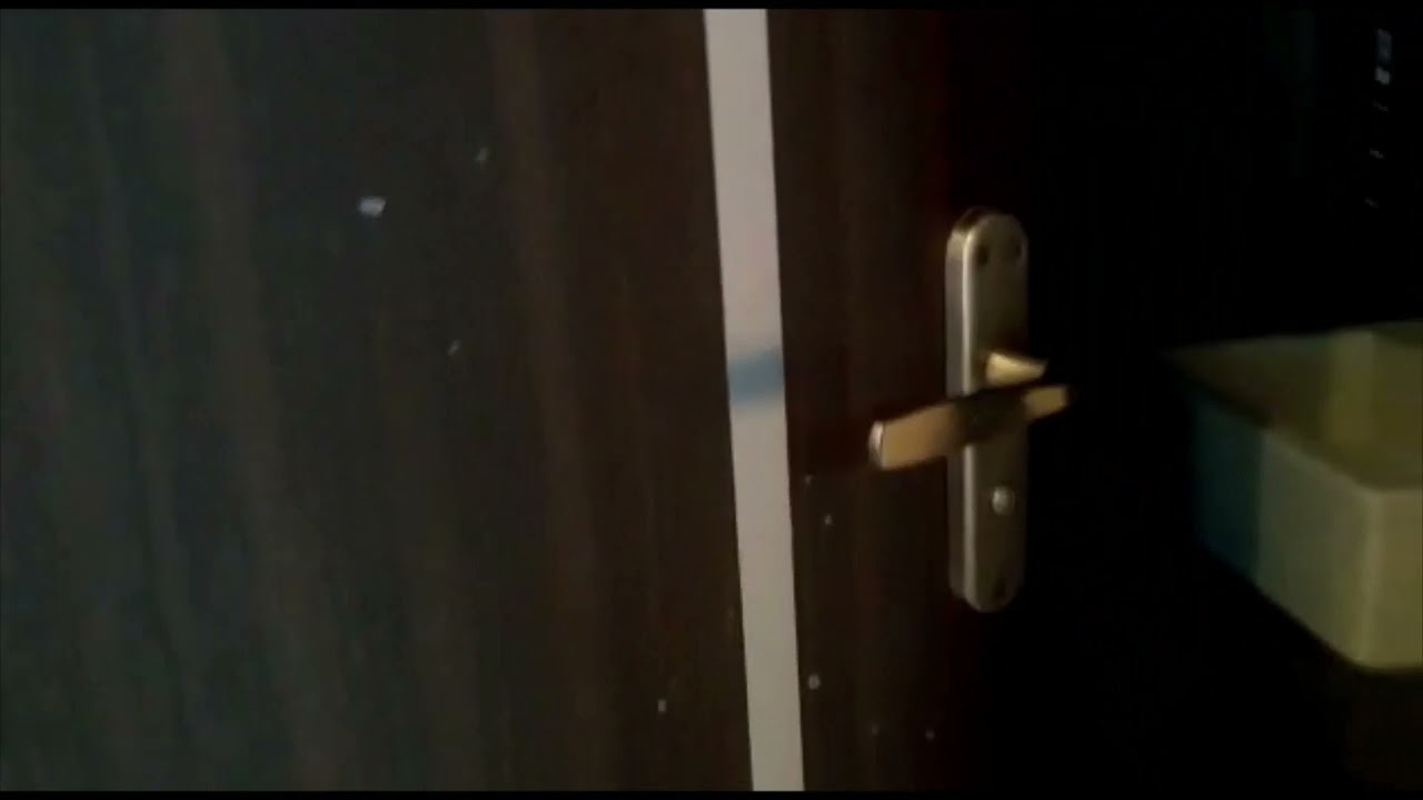 Regency Sarvam 1 bhk furnished flat sale