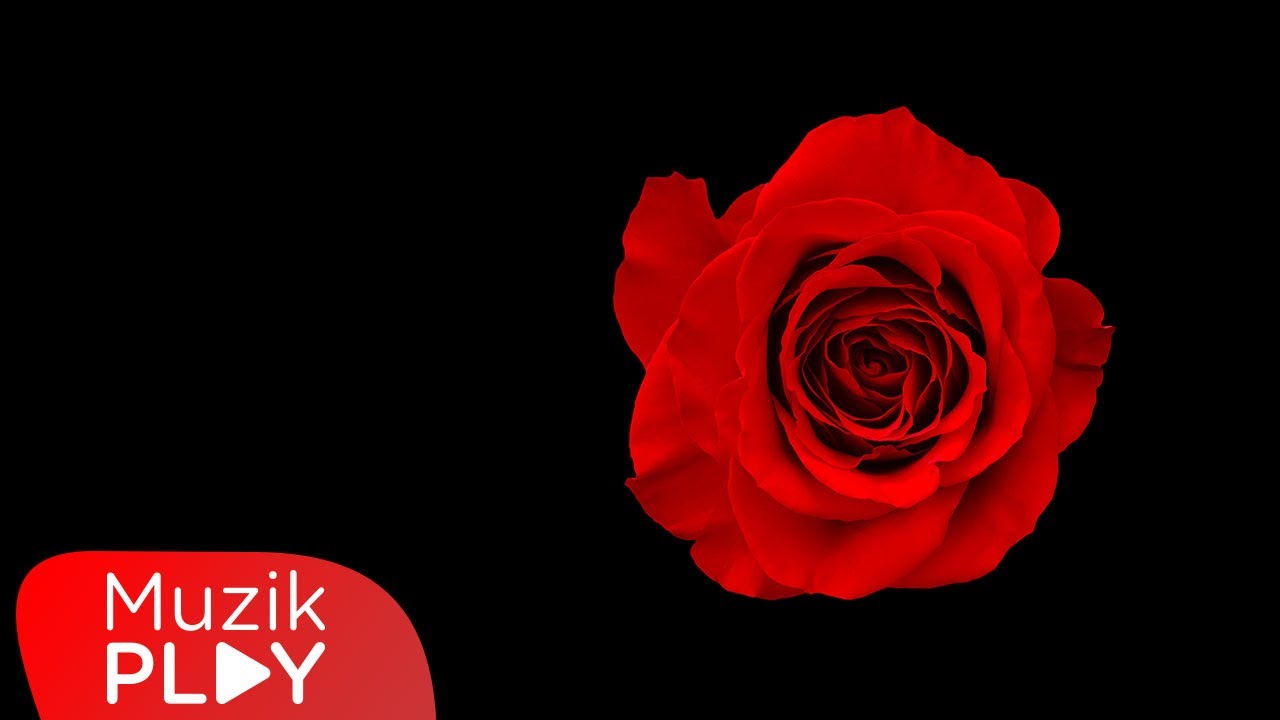 ChanCé - Adım Kadın (Official Lyric Video) #şansıntüzün