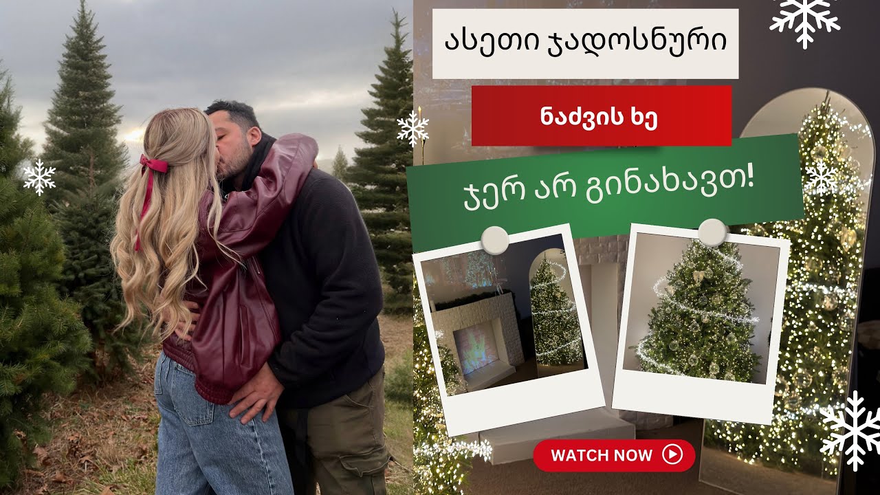 ასეთი ჯადოსნური ნაძვის ხე ჯერ არ გინახავთ 🎄 | ვლოგი| ellene pei