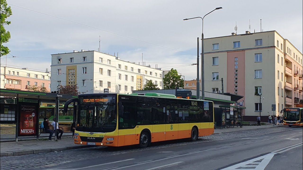 TP Bus Tarnowo Pdg. - linia 802 | MAN NL293 Lion's City #8040