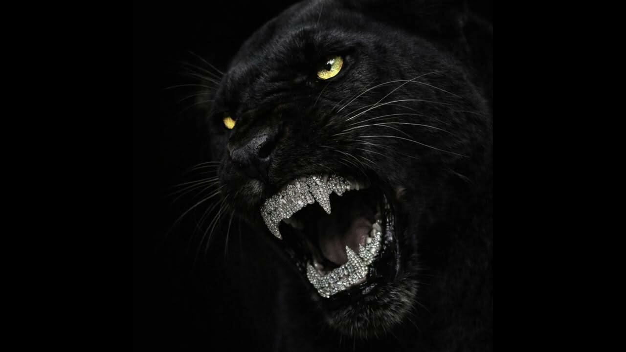 [FREE] PUSHA T x 50 CENT TYPE BEAT - 