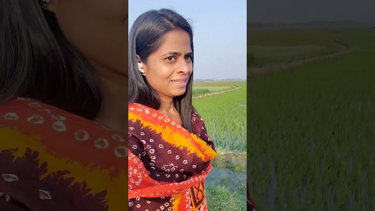 শুধু ধুনিয়া খেত