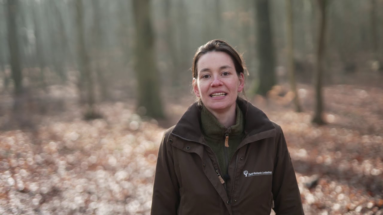 Bomen herkennen zonder blad