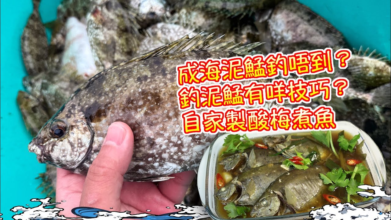 【漁人推介】阿火帶大家出海釣魚，筏釣遇著成海大泥鯭！點解點唔到？釣泥鯭有咩技巧？自己製作潮式酸梅煮魚 Catch and Cook Fish Receipe Fish with Sour Plums