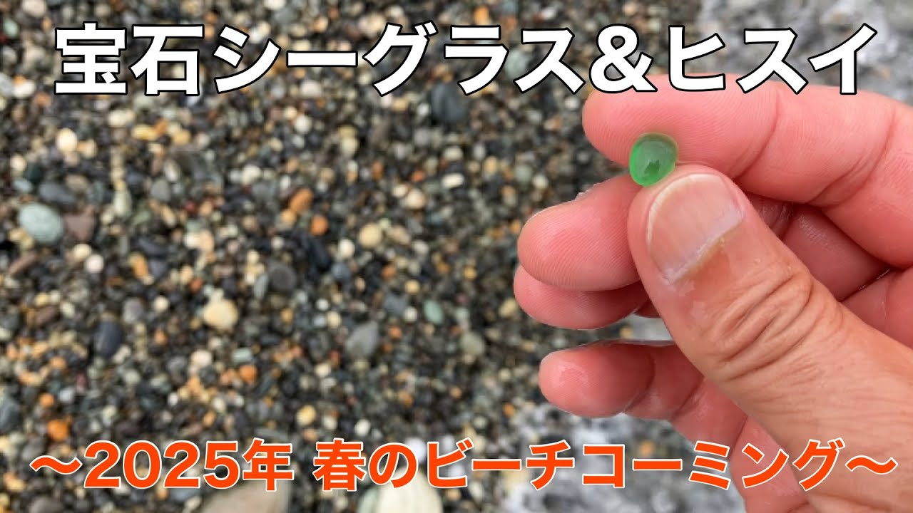 【翡翠】【シーグラス】GW前の糸魚川ヒスイ海岸でビーチコーミング、ここはシーグラスがとれることでも有名です。