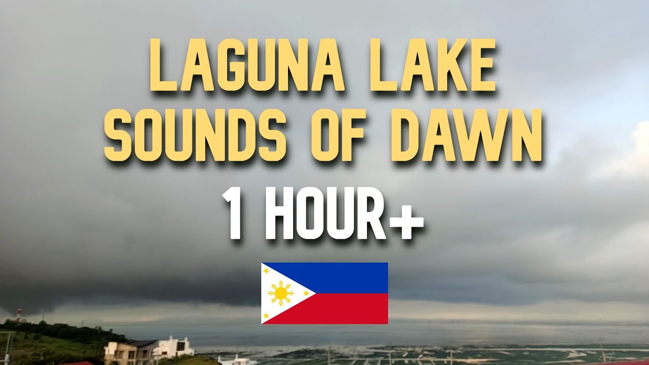 MISS the PHILIPPINES? LISTEN to LAGUNA LAKE SOUNDS of DAWN