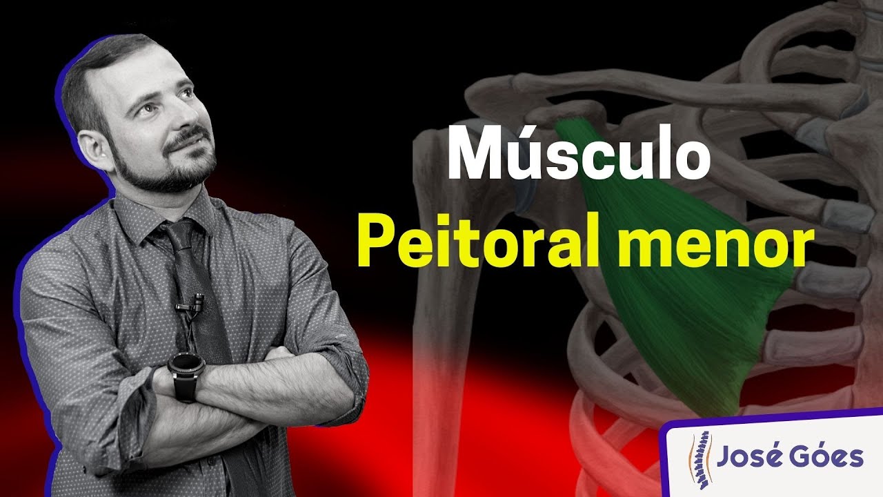 Músculo Peitoral Menor | José Góes