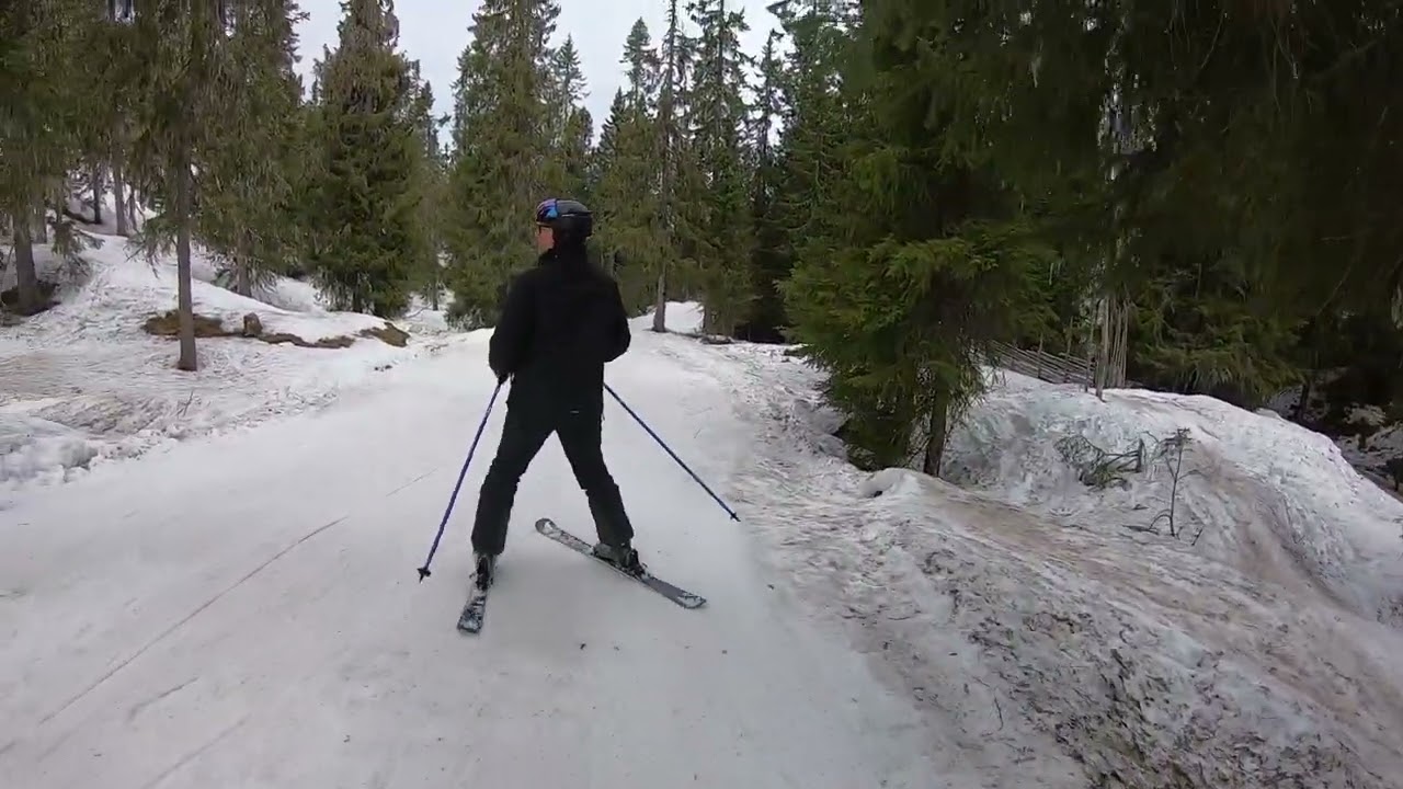 2022 - Trollskogen, Hundfjället