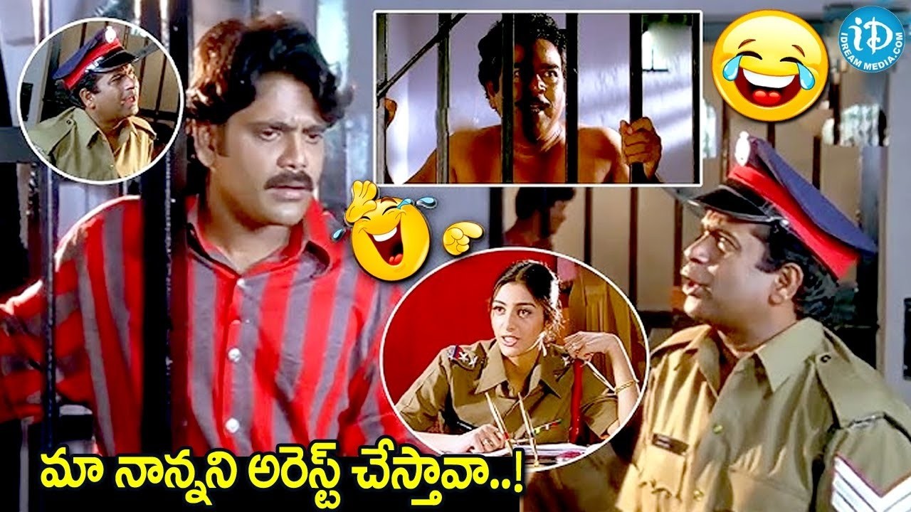 పొట్ట చెక్కలయ్యే కామెడీ.. | Nagarjuna,Tabu & Brahmanandam Hilarious Comedy |@idreamwarangal
