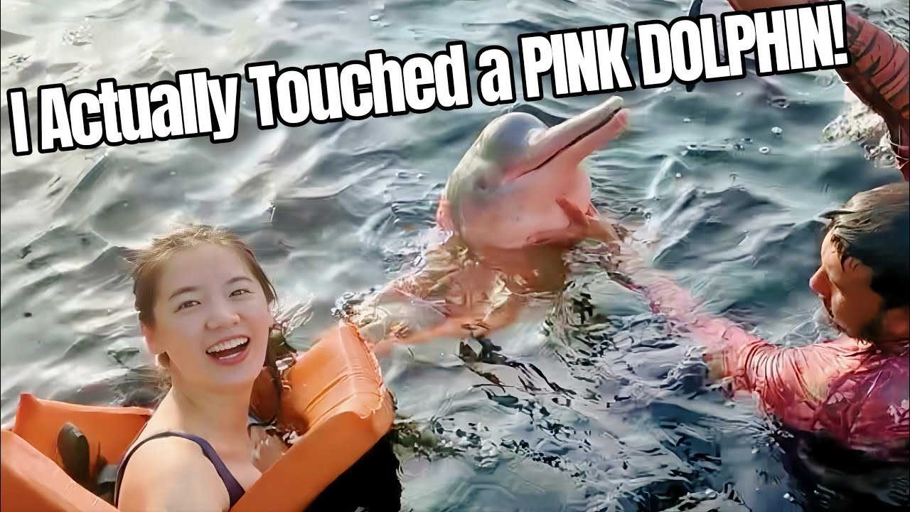 5 Days in the Amazon Rainforest | Pink Dolphins,Crocodiles,Piranha,  & No Internet