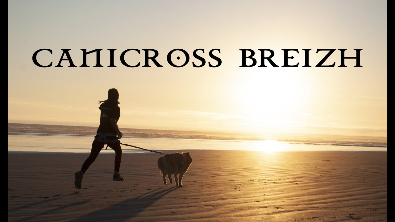 Canicross Bretagne 2021
