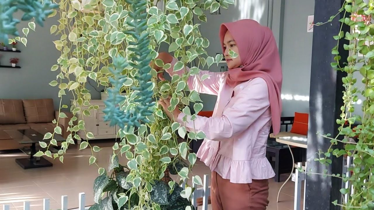 Собирайте супер пышные декоративные растения