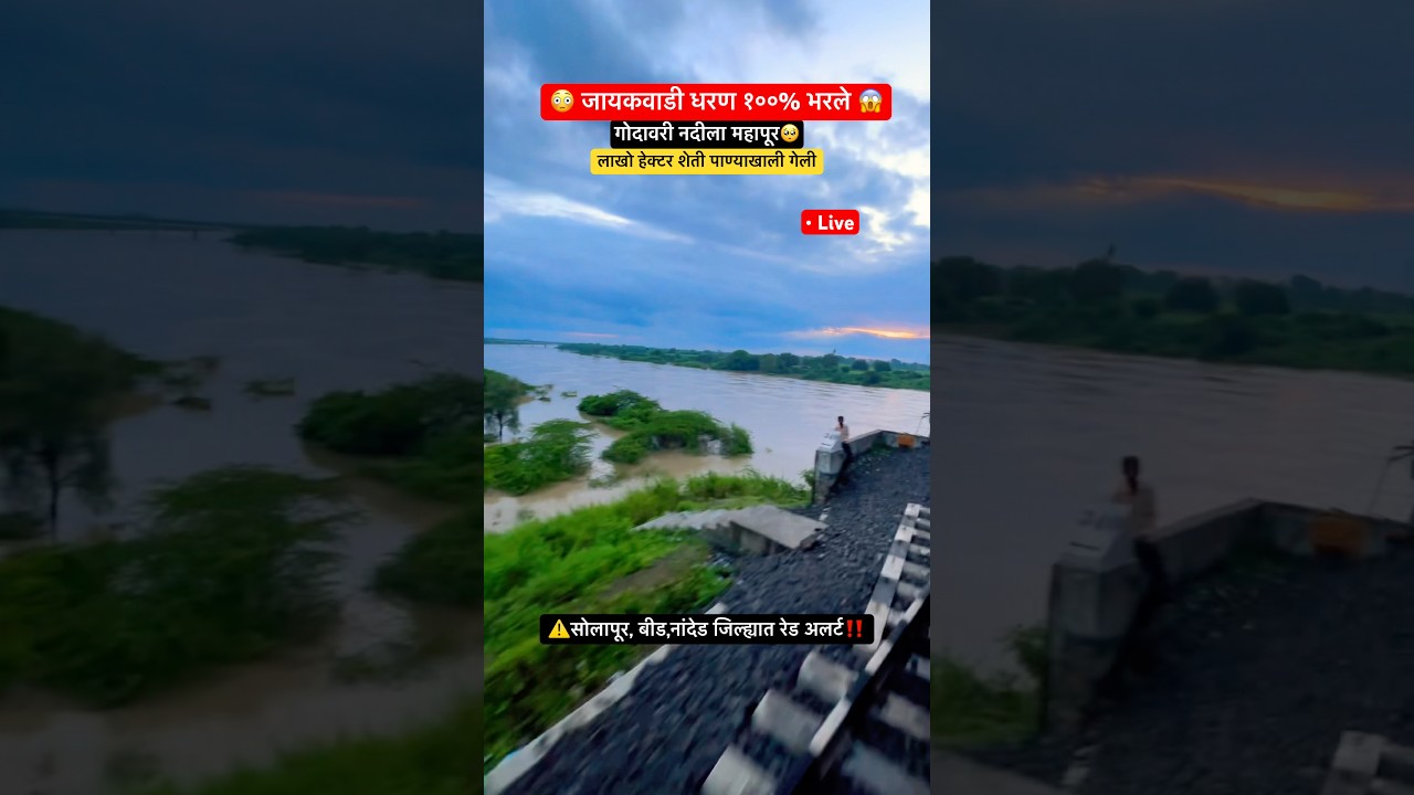 Jayakwadi dam, godavari nadi poor, live News, marathwada live. #flood #redalert #dam #reel #viral