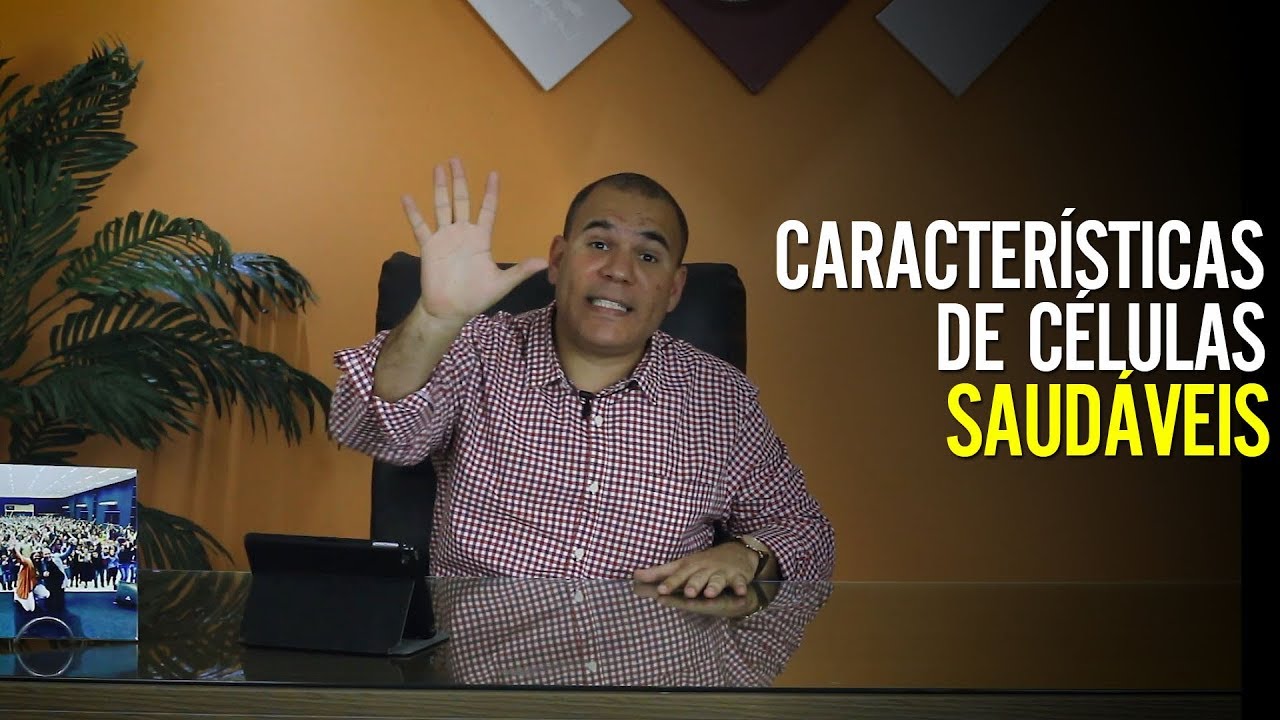 5 caracaterísticas de uma célula saudável - Bruno Monteiro