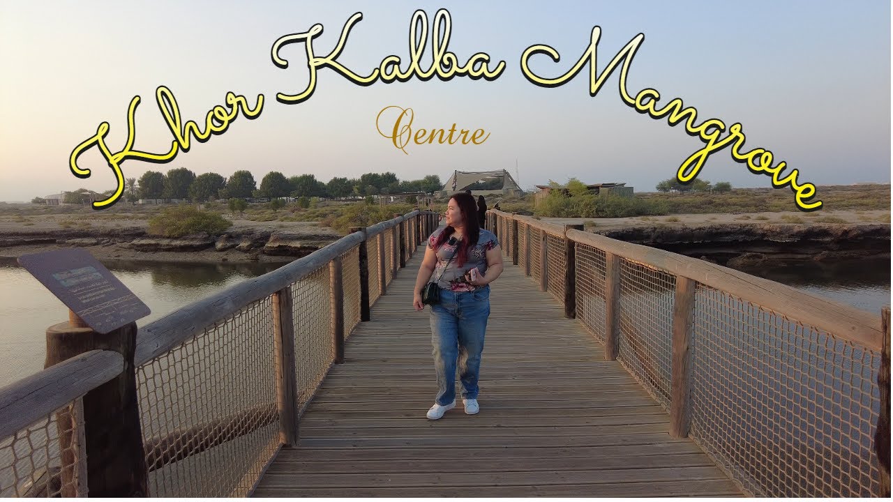 we visit the Khor Kalba Mangrove Centre | Sharjah
