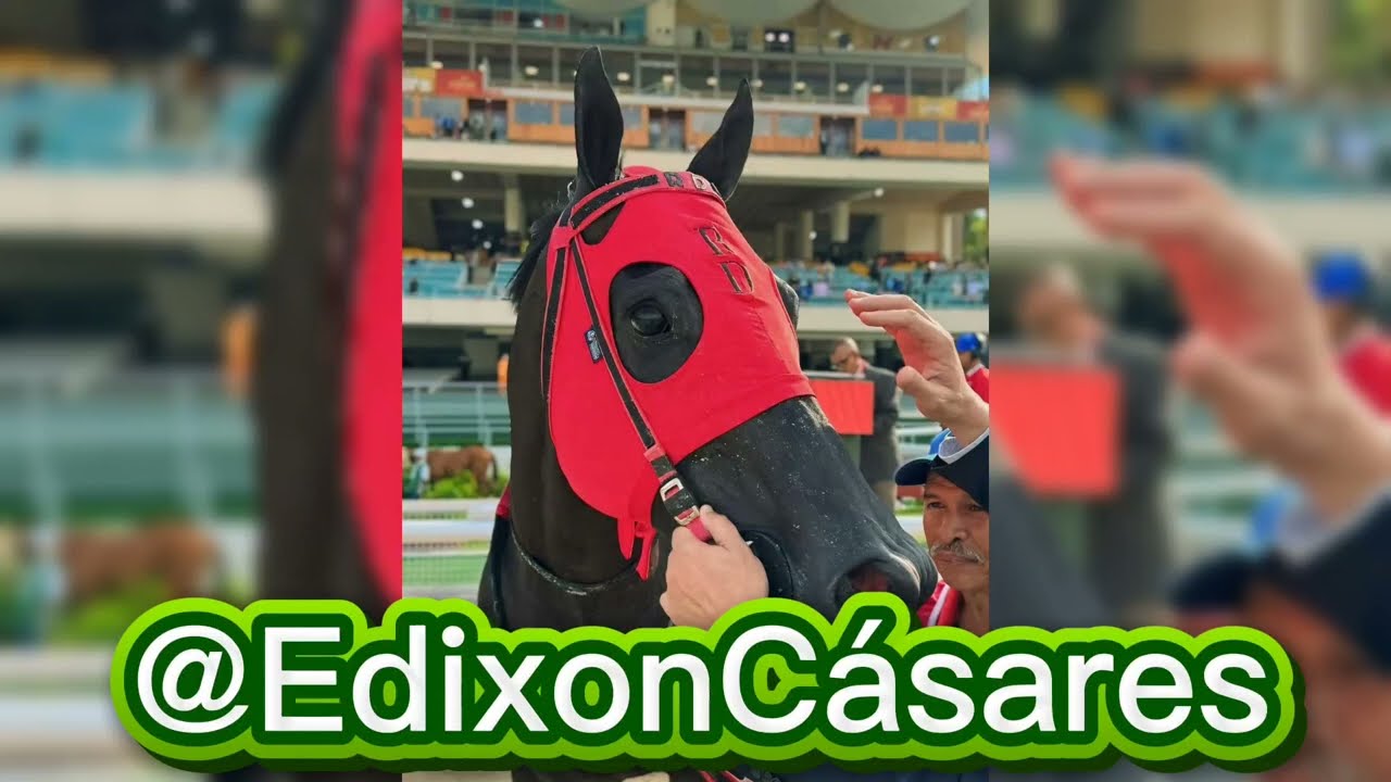 #LARINCONADA DOMINGO 08-02-26 MARCAS, FIJOS, PRONÓSTICOS #HIPISMO 