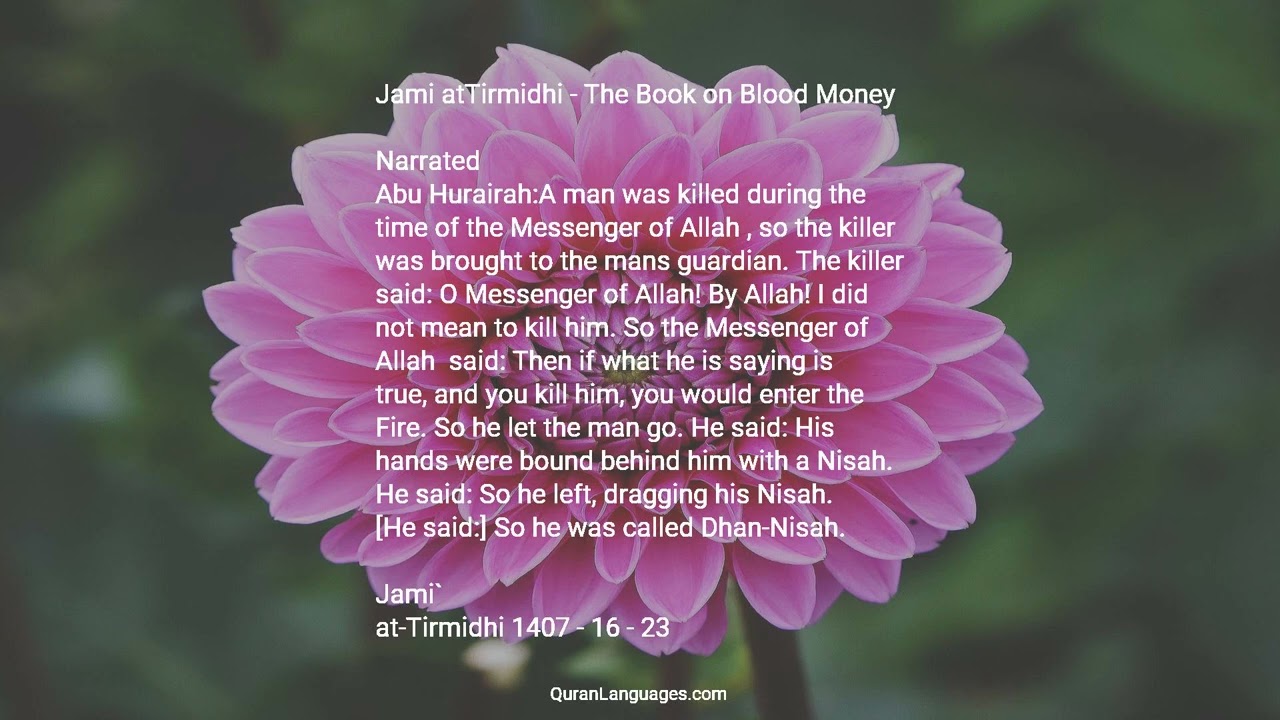 Jami atTirmidhi — 16 — The Book on Blood Money