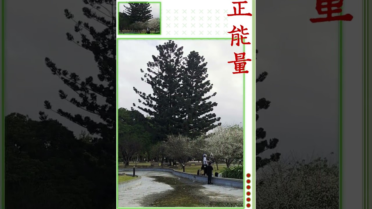 天龍國每天快樂生活影集