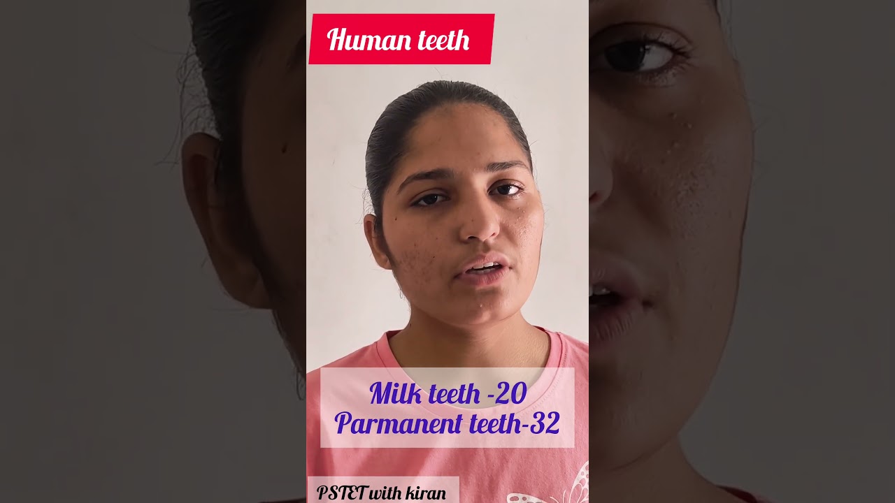 PSTET ... important Topic - Human teeth ( ਮਨੁੱਖੀ ਦੰਦ ) ਟੈਟ ਦੀ ਤਿਆਰੀ ਕਰੋ।