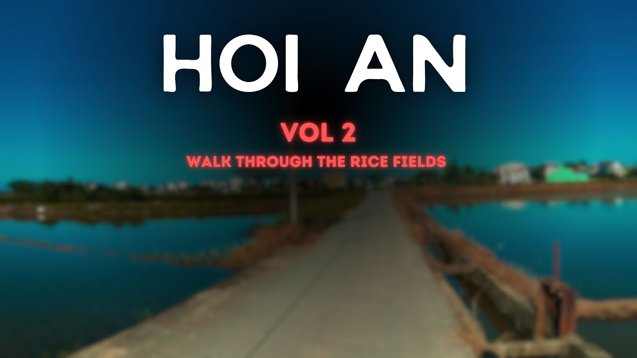 Hội An - Vietnam | Vol. 2 | Walk through the rice fields | 4K