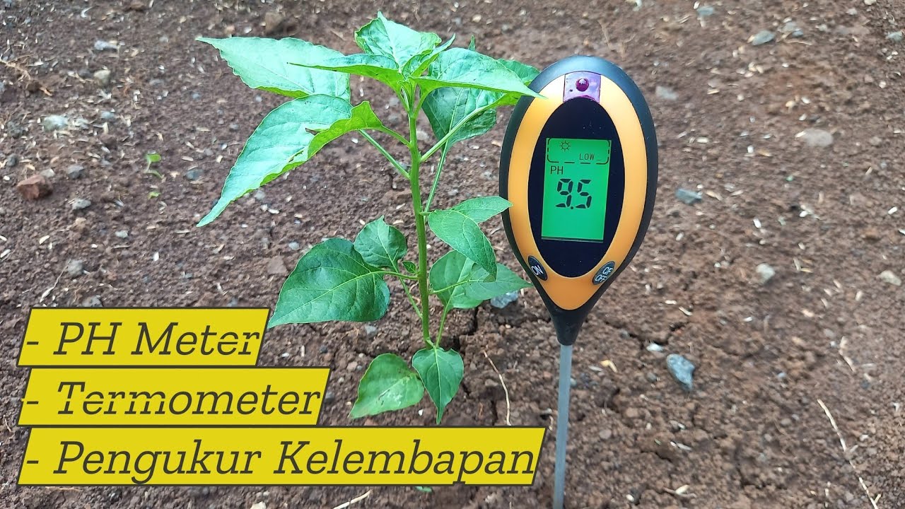 Review & Cara Menggunakan PH Meter Digital 4-in-1 Soil Survey Instrument