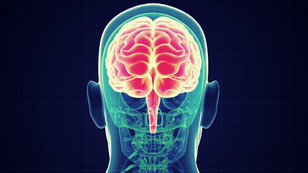 Surviving 'Sudden Cardiac Death'