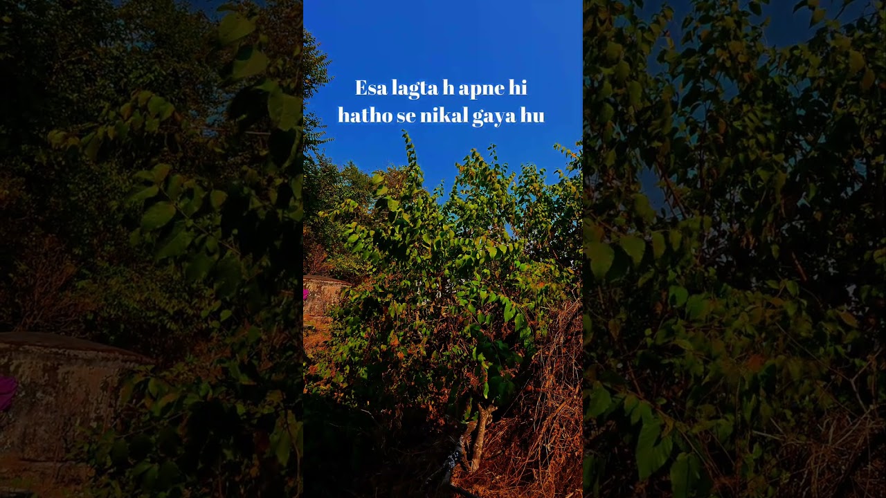Sapno ka janjal 