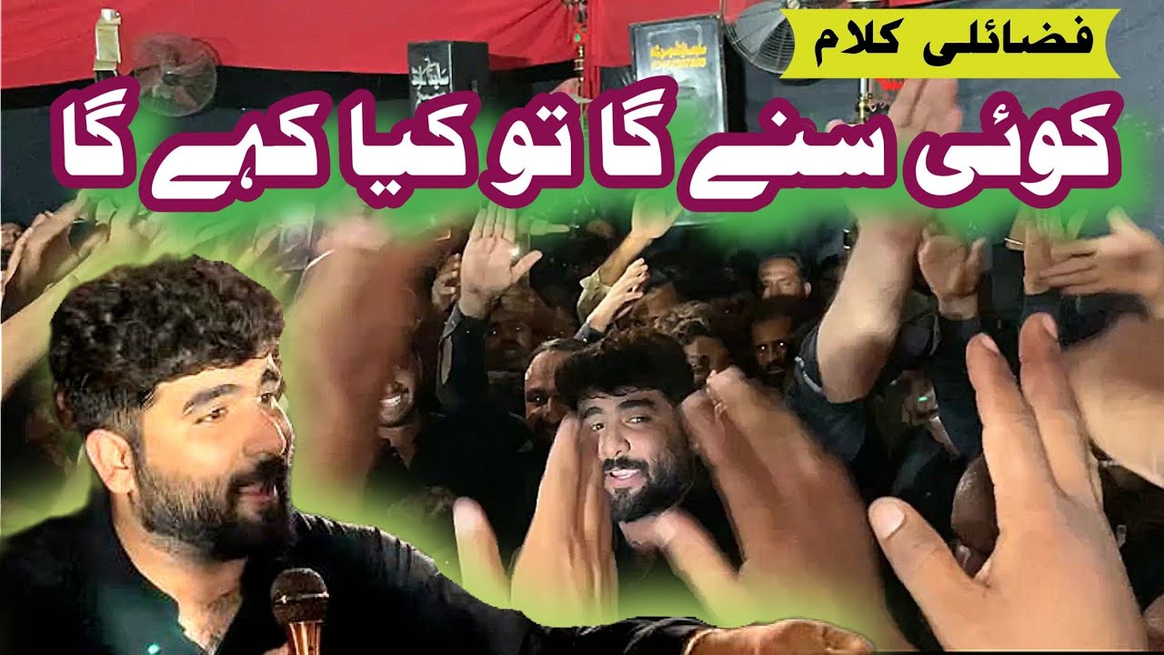 Koi Sune Ga To Kiya Kahega | Tasawar Abbas Tashna Party 14 Safar Dinpur 2024