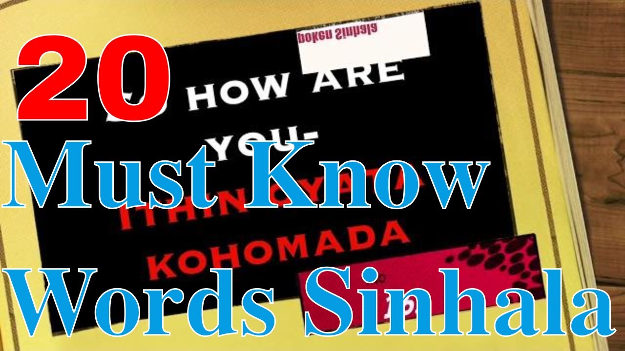 20 Must Know Words and Phrases - Regular Usage II