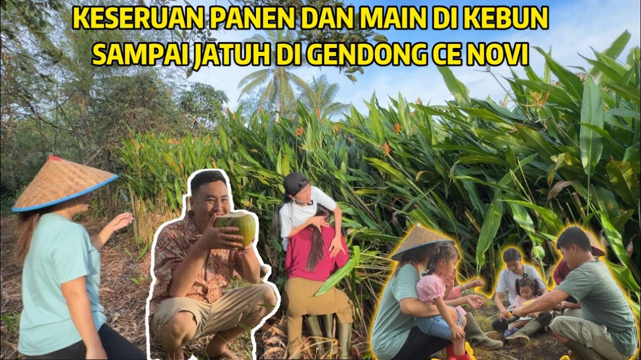 MASUK KE KEBUN CE DEVI MANJAT POHON, XIXI SAMPAI TAK MAU PULANG