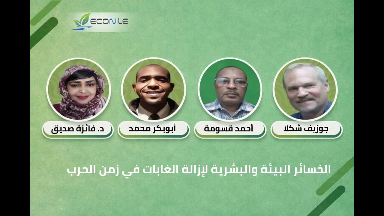 الإحتفال باليوم العالمي للبيئة: الخسائر البيئية والبشرية لإزالة الغابات في زمن الحرب
