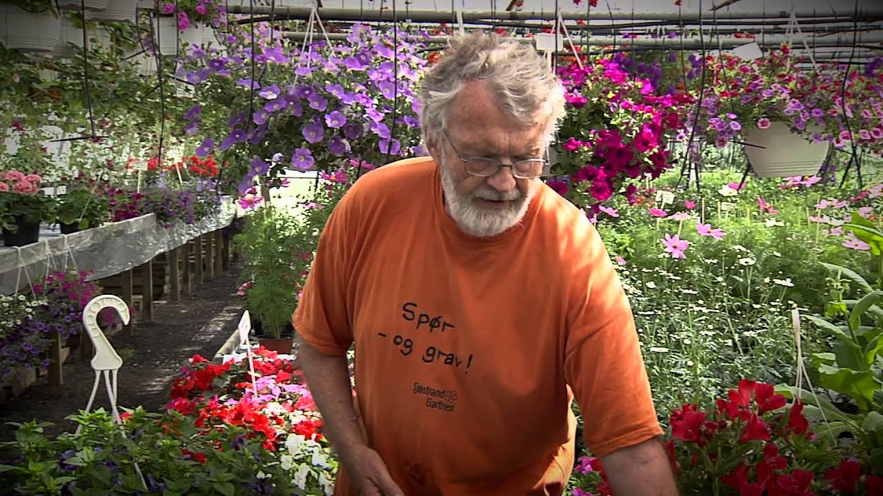 Sommerblomster sol og skygge - Informasjonsfilm fra Sjøstrand Gartneri