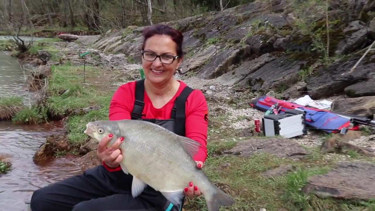 Dráva Fishing