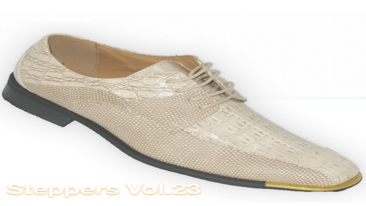 STEPPERS VOL.23
