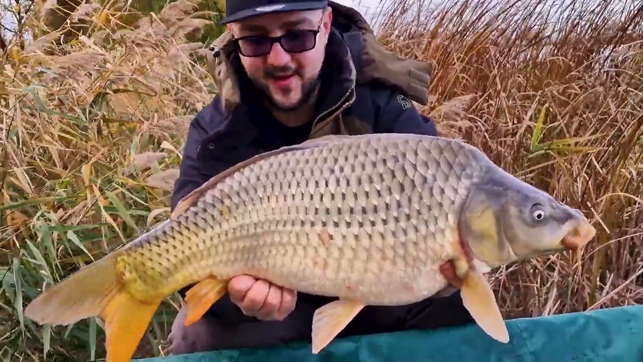 Panorama Lake Moftinu mic Pescuit feeder selectiv