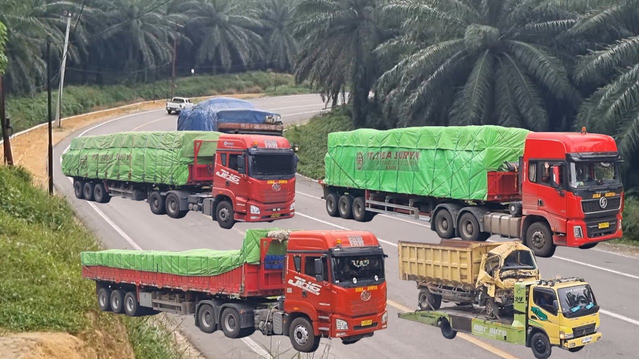 Sopir Junioor  Di Gantikan Di Senja Bukit Koodok