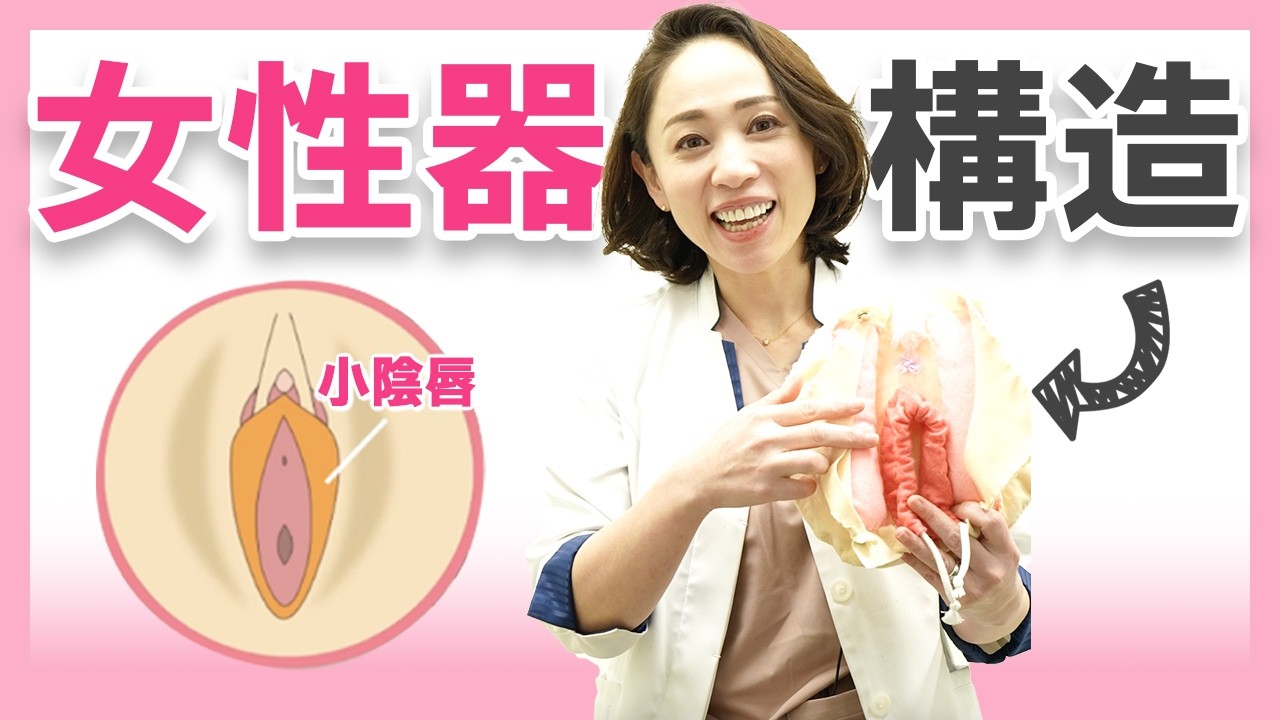 【総症例数24,000件以上】婦人科形成のプロが徹底解説！女性器の構造の正しい知識