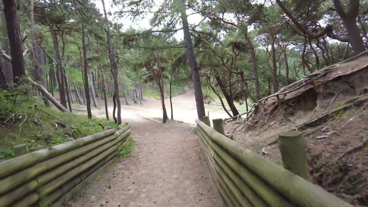 Red Squirrel Reserve Formby Walk in 4K | Formby Beach Woods