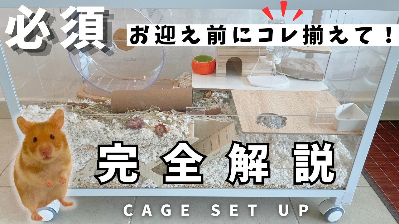 【ハムスターお迎え前に揃える全10アイテム！】BUCATSTAE特大ケージのセットアップをしながら完全解説！