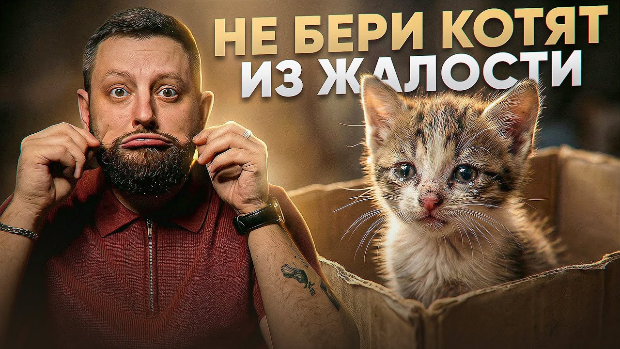 У красивых девушек всегда нет парня | ТРЕДЫ №28