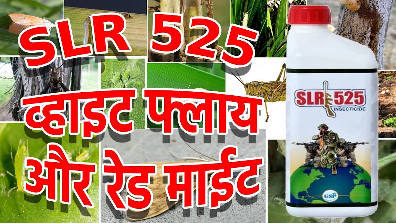 SLR525/White fly,red mite,thrips