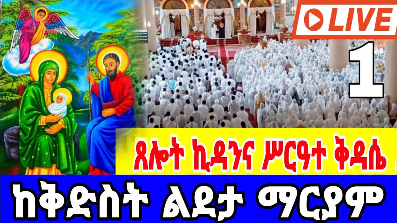 🔴 LIVE | ቀጥታ ከደብረ ይባቤ#የልደታ ለማርያም በዓል#ጸሎት ኪዳን#ሥርዓተ ቅዳሴ | የካቲት 1, 2018 ዓ.ም | Holy Mass at Debre Yibabe