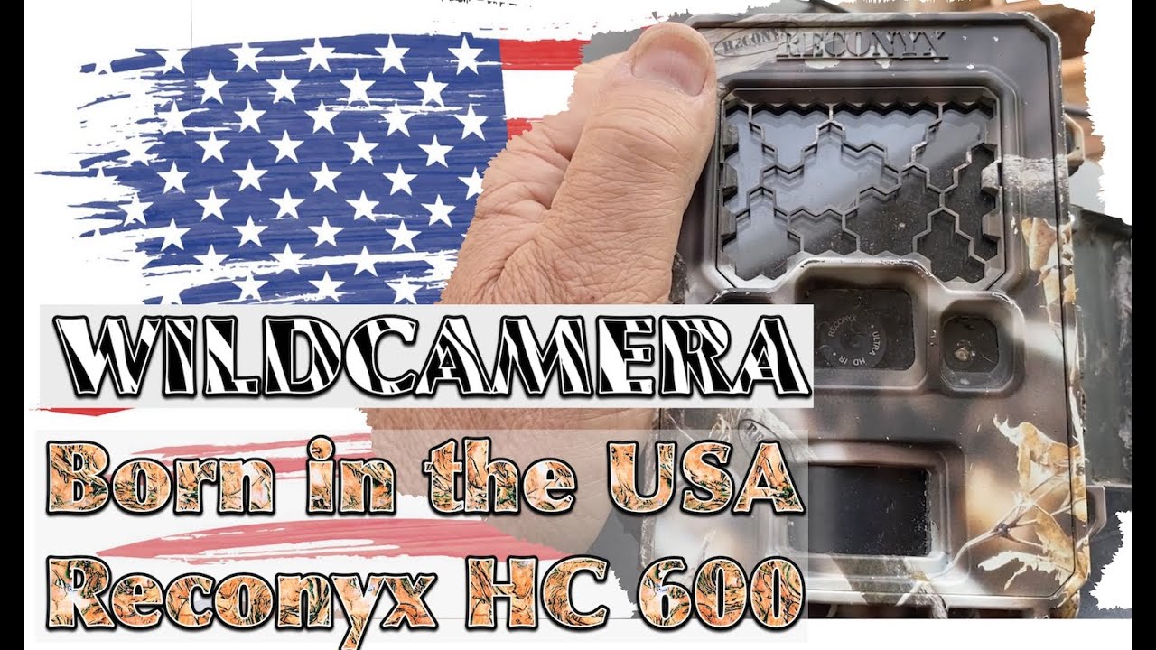Test Reconyx HC600 Wildkamera